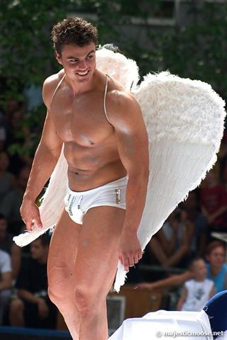 [gay pride angel[1].jpg]